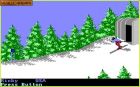 Screen gry The Games: Winter Edition:Screen z gry - The Games: Winter Edition 