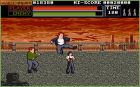 Screen gry Vigilante:Vigilante - screen 