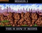 Cannon Fodder (10in1):  