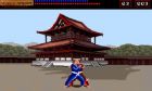 Amiga Karate:  