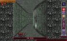 Chamber of the Sci-Mutant Priestess (Kult: The Temple of Flying Saucers):  