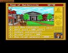 Screen gry King's Bounty: 