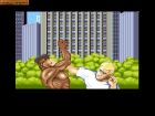Obrazek z gry Street Fighter II: The World Warrior