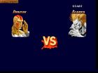 Obrazek z gry Super Street Fighter II: The New Challengers