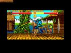 Super Street Fighter II: The New Challengers:  