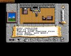 Obrazek z gry Times of Lore
