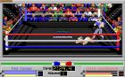 Screen gry 4D Sports (2in1): 