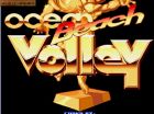 Obrazek z gry Beach Volley