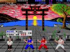 International Karate +:  