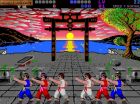 International Karate +:  