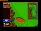 Screen - Sensible Golf