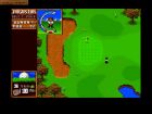 Screen - Sensible Golf