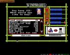 Windwalker:  