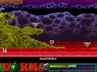 Worms: The Director's Cut:  