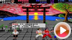 International Karate +: International Karate + 