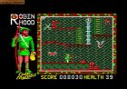 Screen - Super Robin Hood