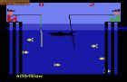 Fishing Derby:  