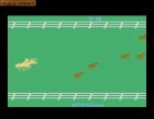 Stampede:  