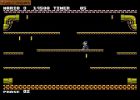 Mario Bros 2007:  