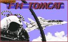 Screen gry F-14 Tomcat:Gierka F-14 Tomcat wydana przez Activision 
