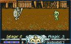 Golden Axe: Obrazek z gry Golden Axe 