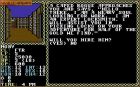 Hillsfar: Screen z gry - Hillsfar 