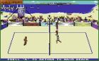Kings of the Beach: Gra Kings of the Beach ( Electronic Arts ) 