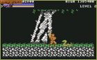 Rastan: Rastan - screen 
