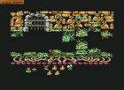 Obrazek z gry Robin of the Wood