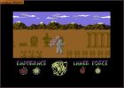 Screen gry The Way of the Tiger:Gra The Way of the Tiger ( Gremlin Graphics ) 