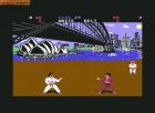 Screen gry World Karate Championship: 