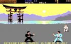 International Karate Ultimate:  