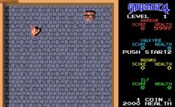 Obrazek z gry Gauntlet 4