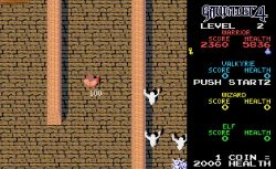 Obrazek z gry Gauntlet 4