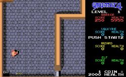 Obrazek z gry Gauntlet 4