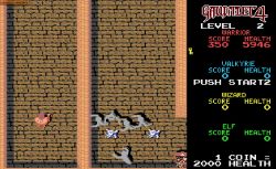 Obrazek z gry Gauntlet 4