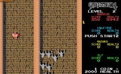 Obrazek z gry Gauntlet 4