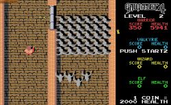 Obrazek z gry Gauntlet 4