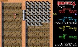 Obrazek z gry Gauntlet 4