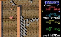 Obrazek z gry Gauntlet 4