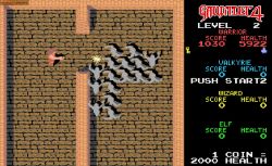 Obrazek z gry Gauntlet 4