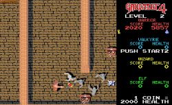 Obrazek z gry Gauntlet 4