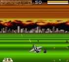 Deadly Skies:  