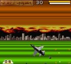 Deadly Skies:  