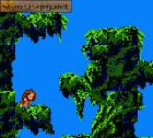 Screen gry Disney's Tarzan: 