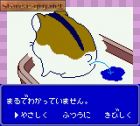 Hamster Club:  