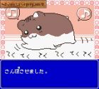 Screen gry Hamster Club 2: 