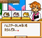 Hamster Paradise 3:  