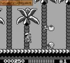 Hudson's Adventure Island:  