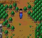 Konchuu Fighters:  